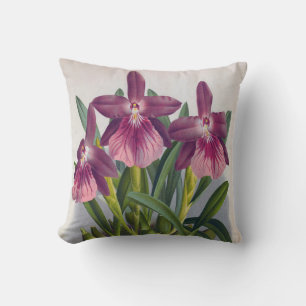Vintage Purple Lady Orchids Miltonia Spectabilis Cushion