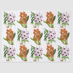 Vintage Purple White Orange Exotic Orchid Flower Tissue Paper