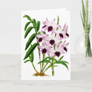 Vintage Purple White Orchid Flower Card