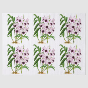 Vintage Purple White Orchid Flower Decoupage Tissue Paper