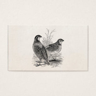 Vintage Quail Birds - Personalised Retro Game Bird