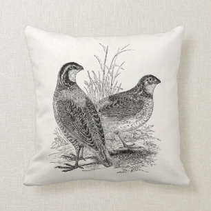 Vintage Quail Birds - Personalised Retro Game Bird Cushion
