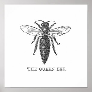 Vintage Queen Bee Illustration Poster