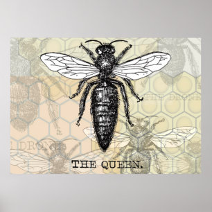 Vintage Queen Bee Illustration Poster