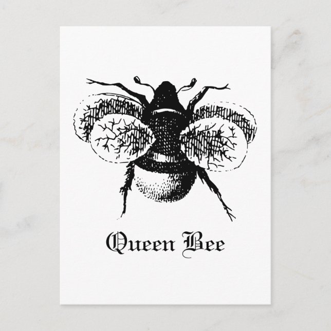 Vintage Queen Bee Postcard (Front)