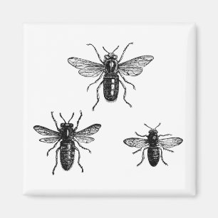 Vintage Queen Bee & Working Bees Illustration Magnet