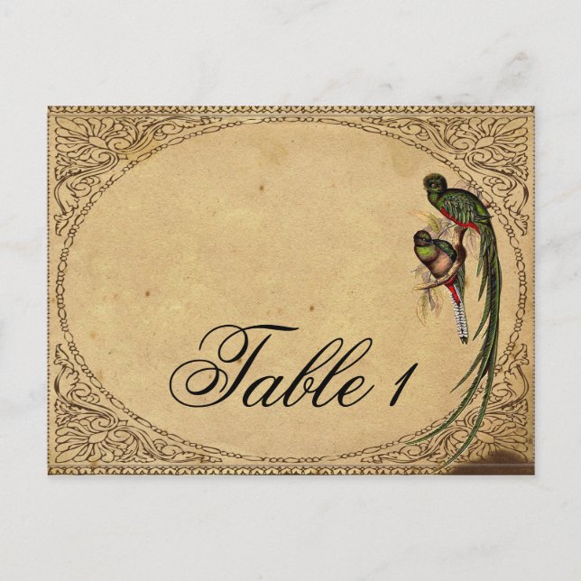 Vintage Quetzal Bird Elegant Table Number Postcard (Front)
