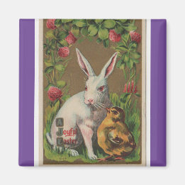 Vintage Rabbit And Chick Magnet