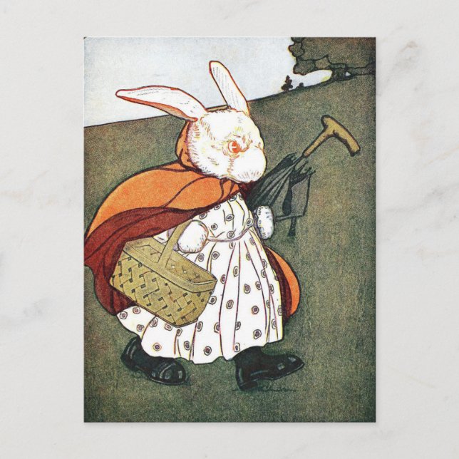 Vintage Rabbit Children's Book Illustration  Postcard (Front)
