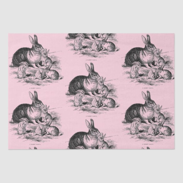Vintage rabbit family - drawing tissue paper (Front)