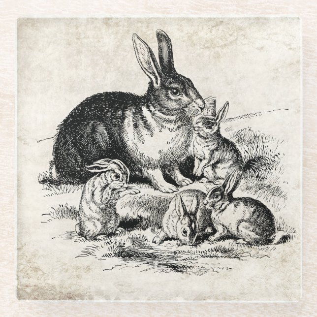Vintage Rabbit Family Illustration, Baby Bunnies Glass Coaster (Front)