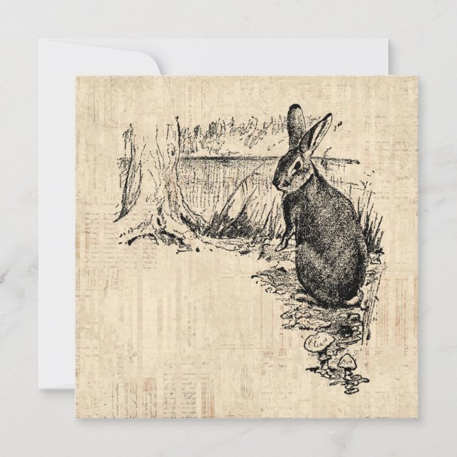 Vintage Rabbit Illustrated Bunny Art Card (Front)