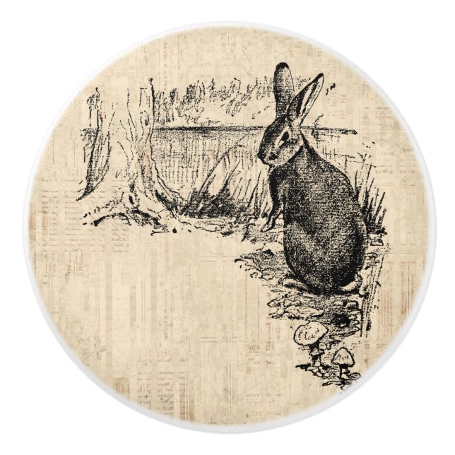 Vintage Rabbit Illustrated Bunny Art Ceramic Knob (Front)