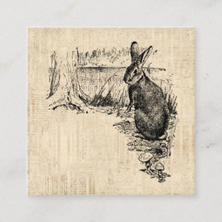 Vintage Rabbit Illustrated Bunny Art Enclosure Card