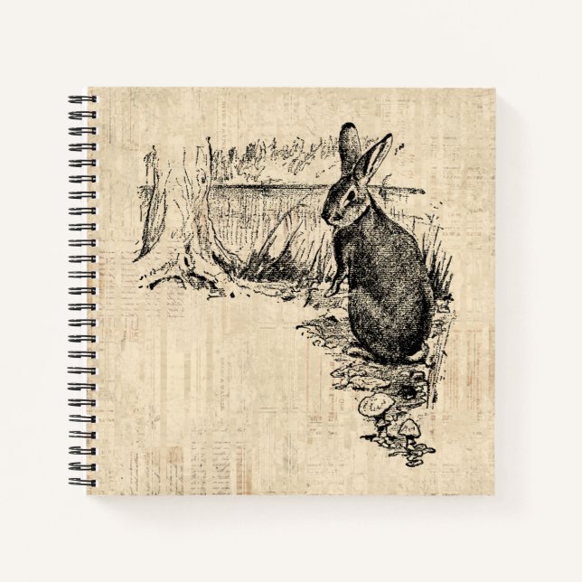 Vintage Rabbit Illustrated Bunny Art Notebook (Front)