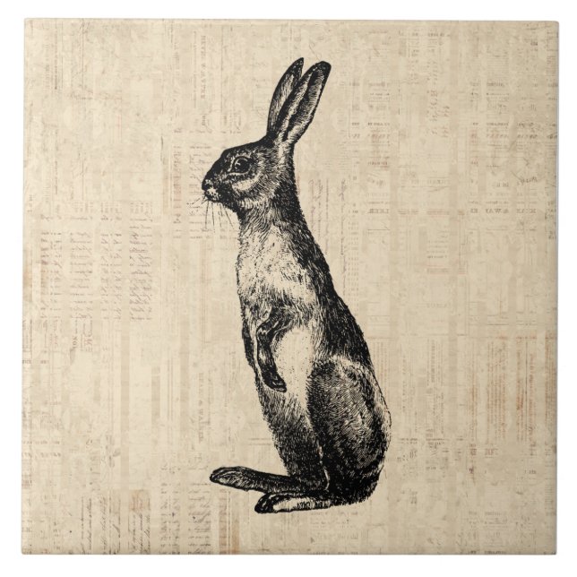 Vintage Rabbit Illustration Old Fashioned Bunny Ceramic Tile (Front)