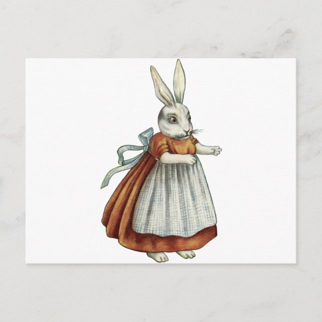Vintage Rabbit Postcard (Front)