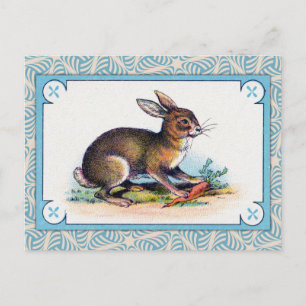 Vintage Rabbit Print Postcard