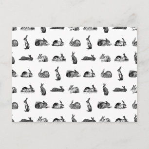 Vintage Rabbits Classic Bunnies CUSTOM BG COLOR Postcard