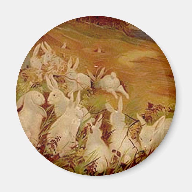 Vintage Rabbits Magnet (Front)