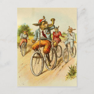 Vintage Rabbits Riding Bicycles Postcard