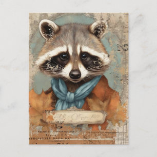 Vintage Racoon Collage Postcard