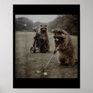 Vintage Racoon Playing Golf Golfer Golf Lovers Poster