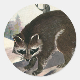 Vintage Racoon, Wild Animal Forest Creatures Classic Round Sticker