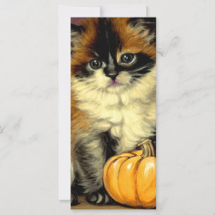 Vintage Ragdoll Halloween Cat Card