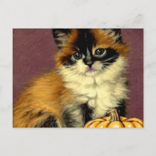 Vintage Ragdoll Halloween Cat Holiday Postcard