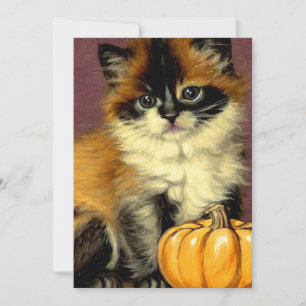 Vintage Ragdoll Halloween Cat Invitation