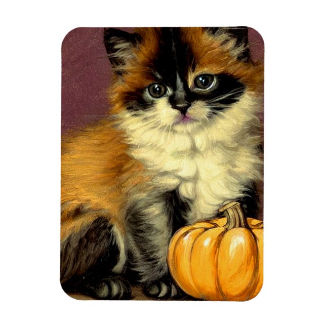 Vintage Ragdoll Halloween Cat Magnet (Vertical)