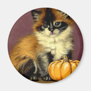 Vintage Ragdoll Halloween Cat Magnet