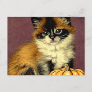 Vintage Ragdoll Halloween Cat Postcard