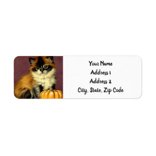 Vintage Ragdoll Halloween Cat Return Address Label