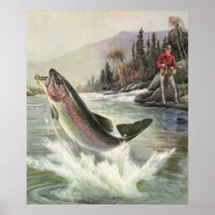 Vintage Fly Fishing Wall Art & Décor