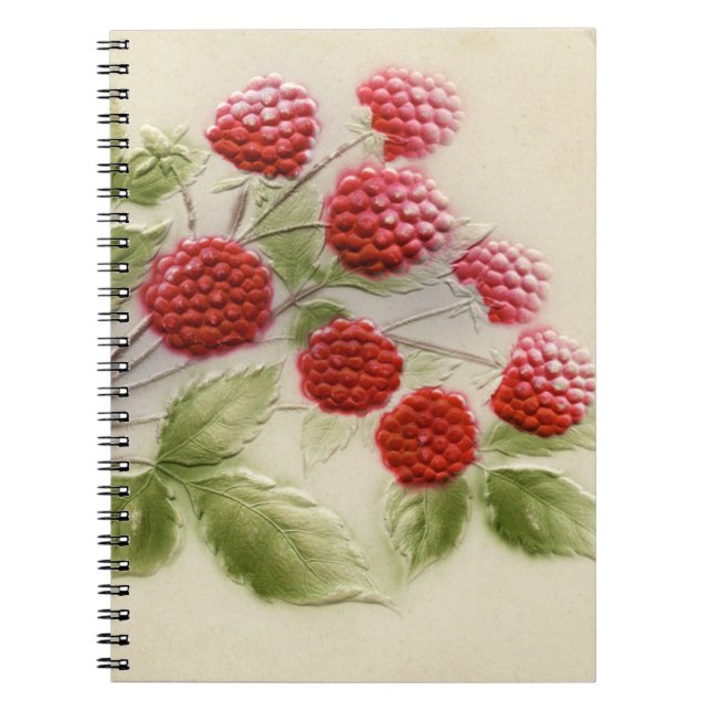 Vintage Raspberries Notebook (Front)