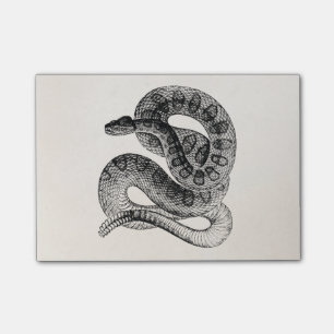 Vintage Rattlesnake Reptile Snake Template Post-it Notes