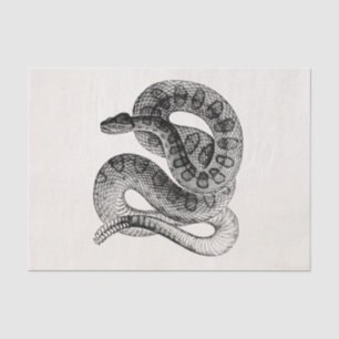 Vintage Rattlesnake Reptile Snake Template Tissue Paper