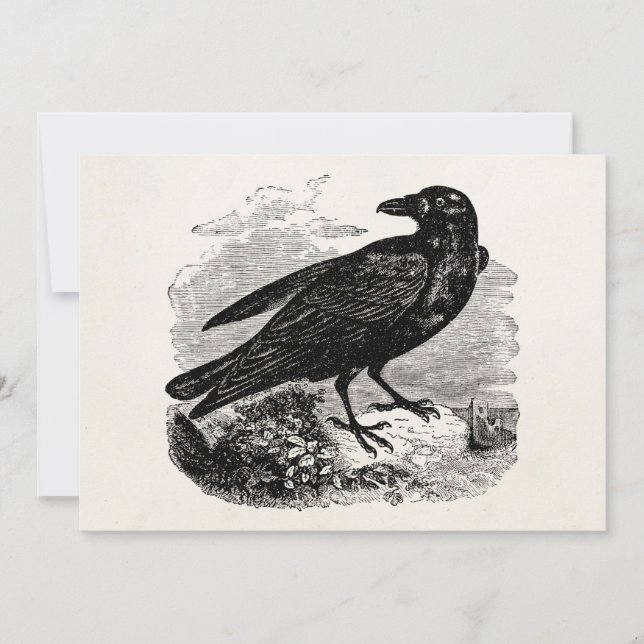 Vintage Raven Black Bird Crow Personalised Birds (Front)