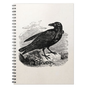 Vintage Raven Black Bird Crow Personalised Birds Notebook