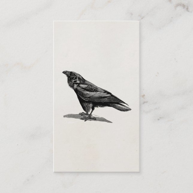 Vintage Raven Crow Blackbird Bird Illustration Business Card (Front)