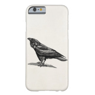 Vintage Raven Crow Blackbird Bird Illustration Barely There iPhone 6 Case