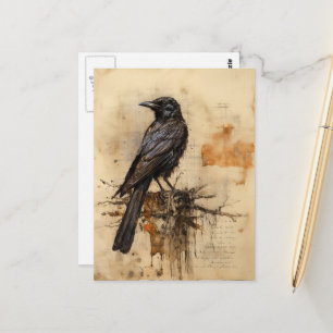 Vintage Raven Postcard