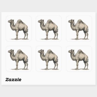 Vintage Realistic Camel Illustration-Desert Camel Square Sticker