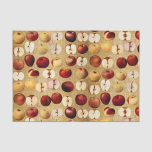 Vintage Red and Golden Apples Gold Alphabet Tissue Paper