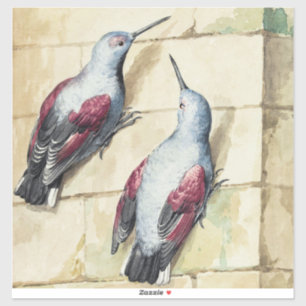 Vintage Red and Grey Bird Watercolor Art