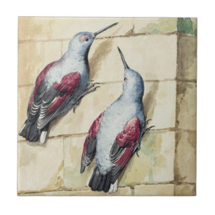 Vintage Red and Grey Bird Watercolor Art Ceramic Tile