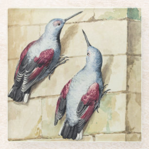 Vintage Red and Grey Bird Watercolor Art Glass Coaster