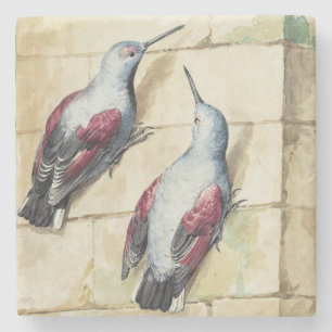Vintage Red and Grey Bird Watercolor Art Stone Coaster